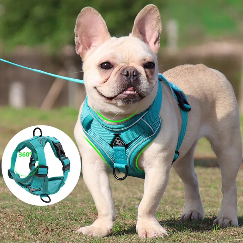 No Pull Dog Harness and Leash Set for Small Dogs