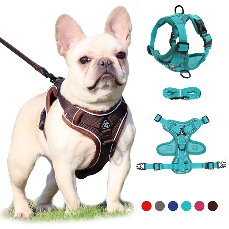 No Pull Dog Harness and Leash Set for Small Dogs