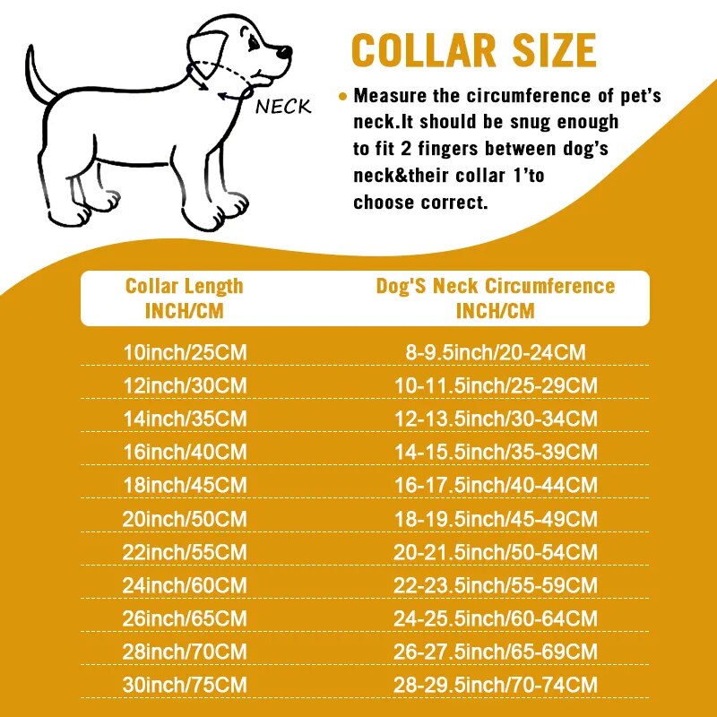 Heavy Duty Gold Dog Collar with Solid Buckle