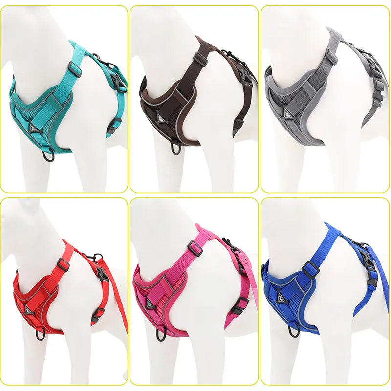 No Pull Dog Harness and Leash Set for Small Dogs