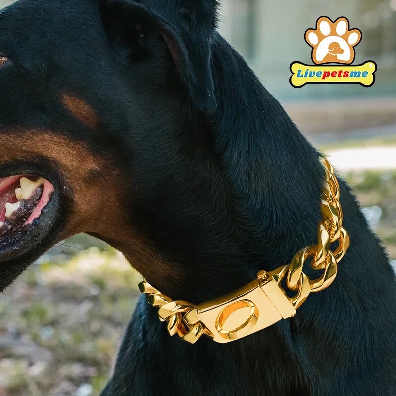 Heavy Duty Gold Dog Collar with Solid Buckle