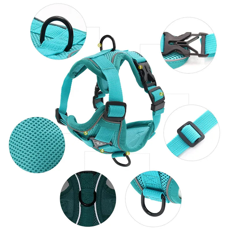 No Pull Dog Harness and Leash Set for Small Dogs