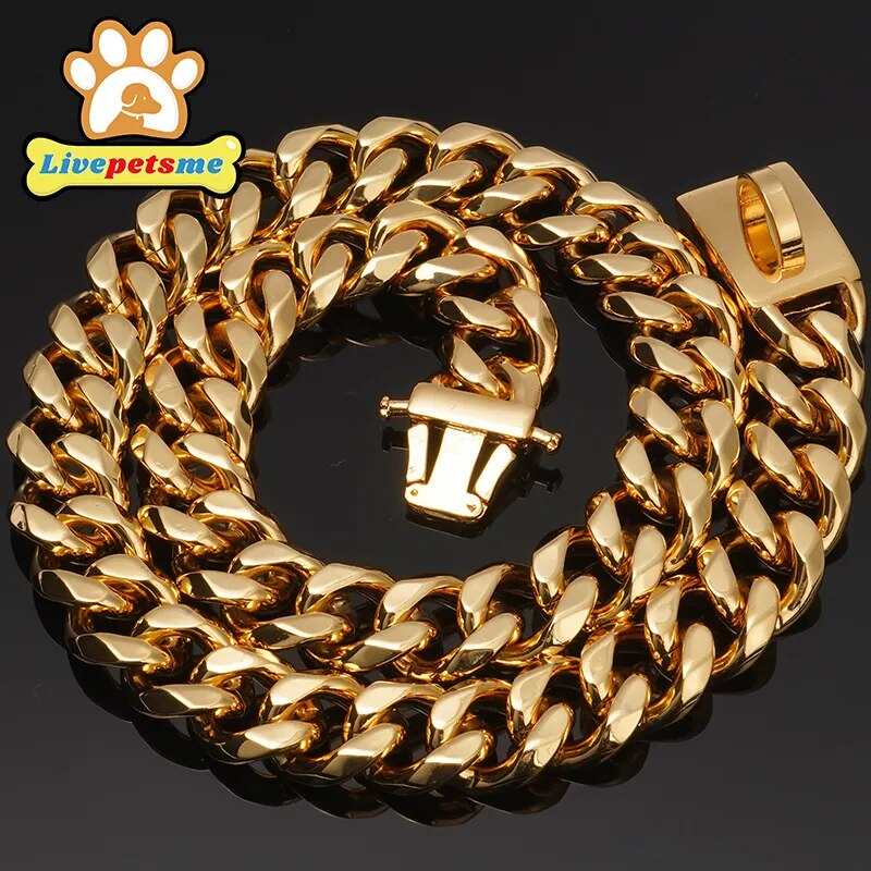 Heavy Duty Gold Dog Collar with Solid Buckle
