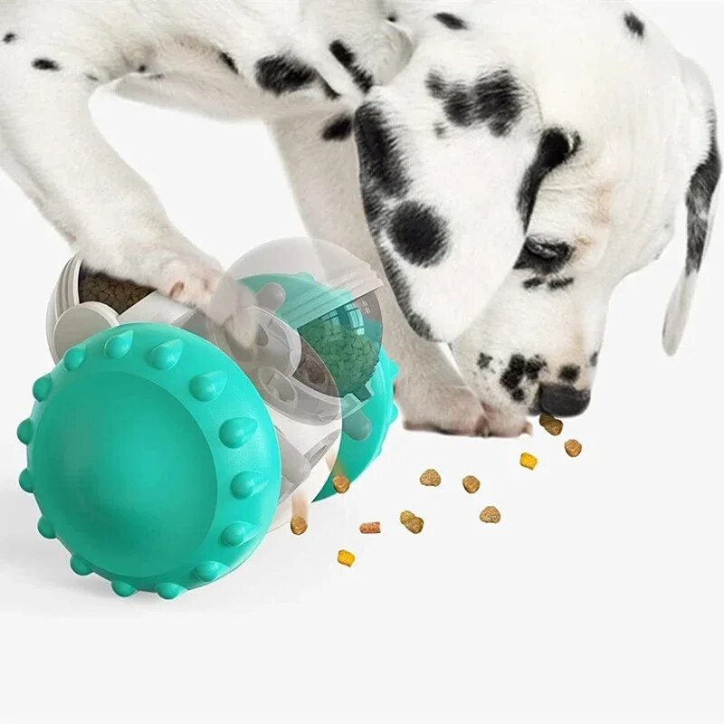 Pet Puzzle Feeder