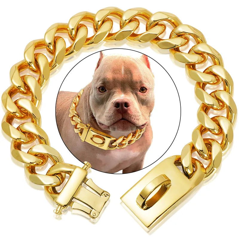 Heavy Duty Gold Dog Collar with Solid Buckle